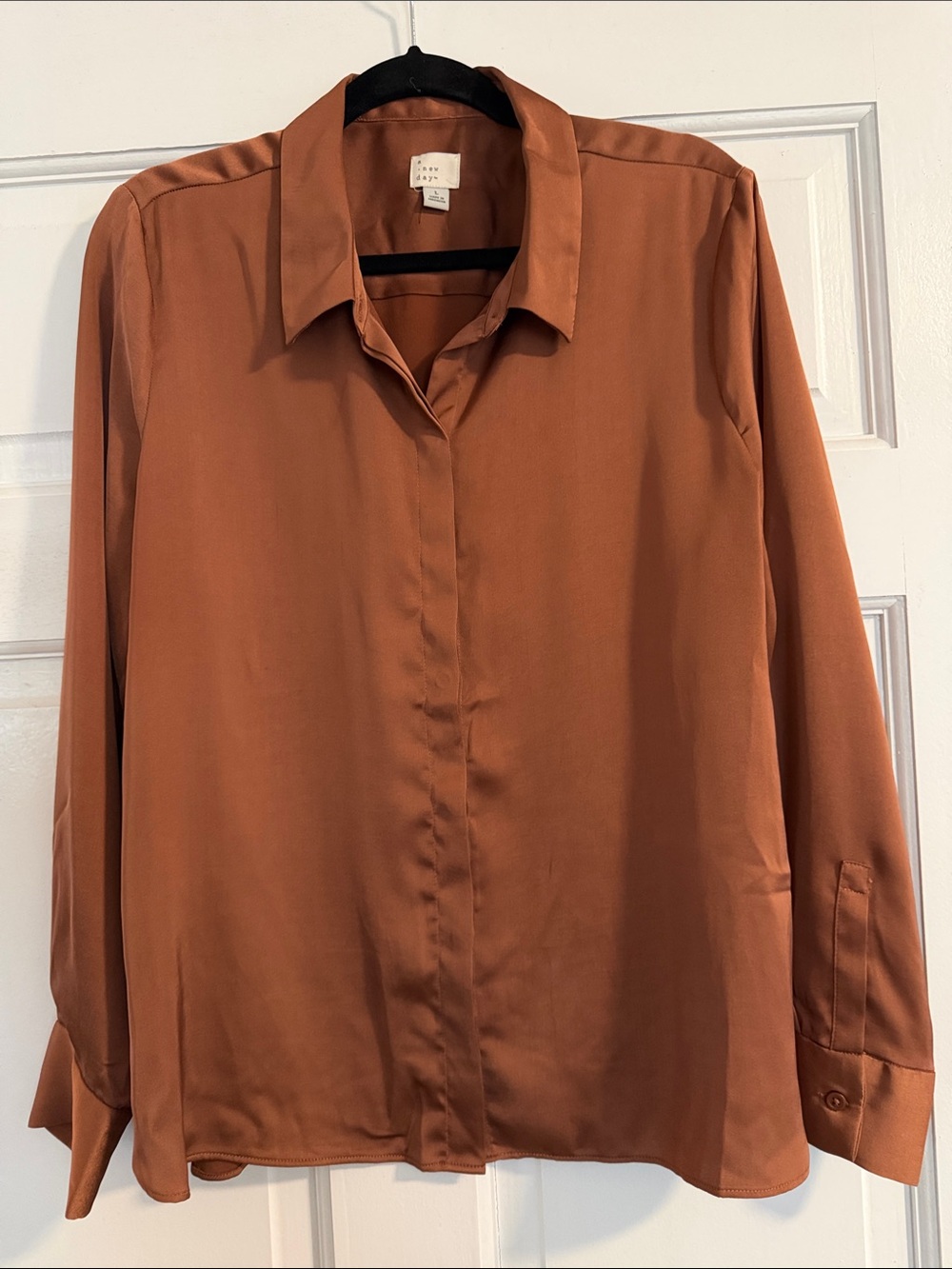 A New Day - Button Down Silky Blouse - Rust